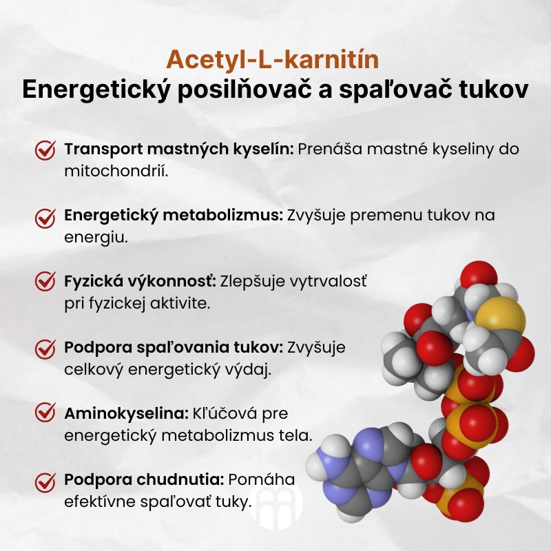(Slovenčina) Acetyl-L-karnitin  Energetický posilovač a spalovač tuků